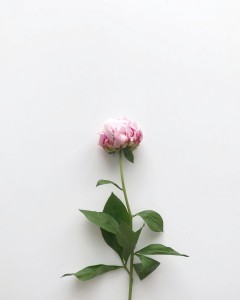 item-1