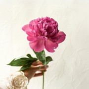 item-9